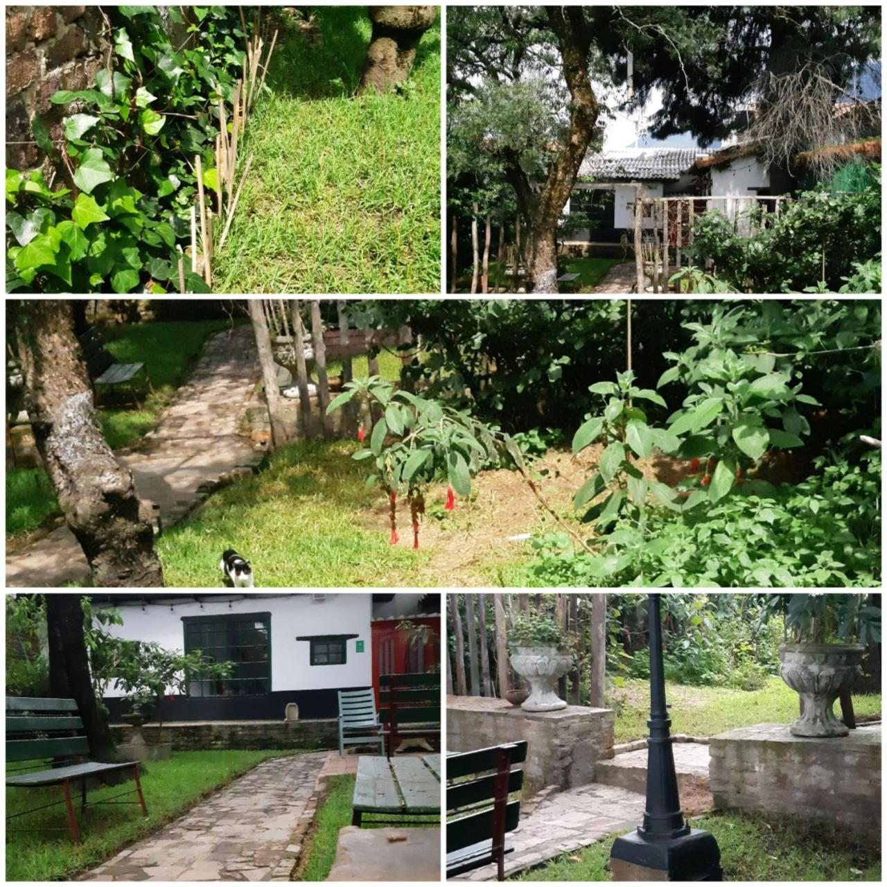 Cedron Hostel Bogota Bagian luar foto